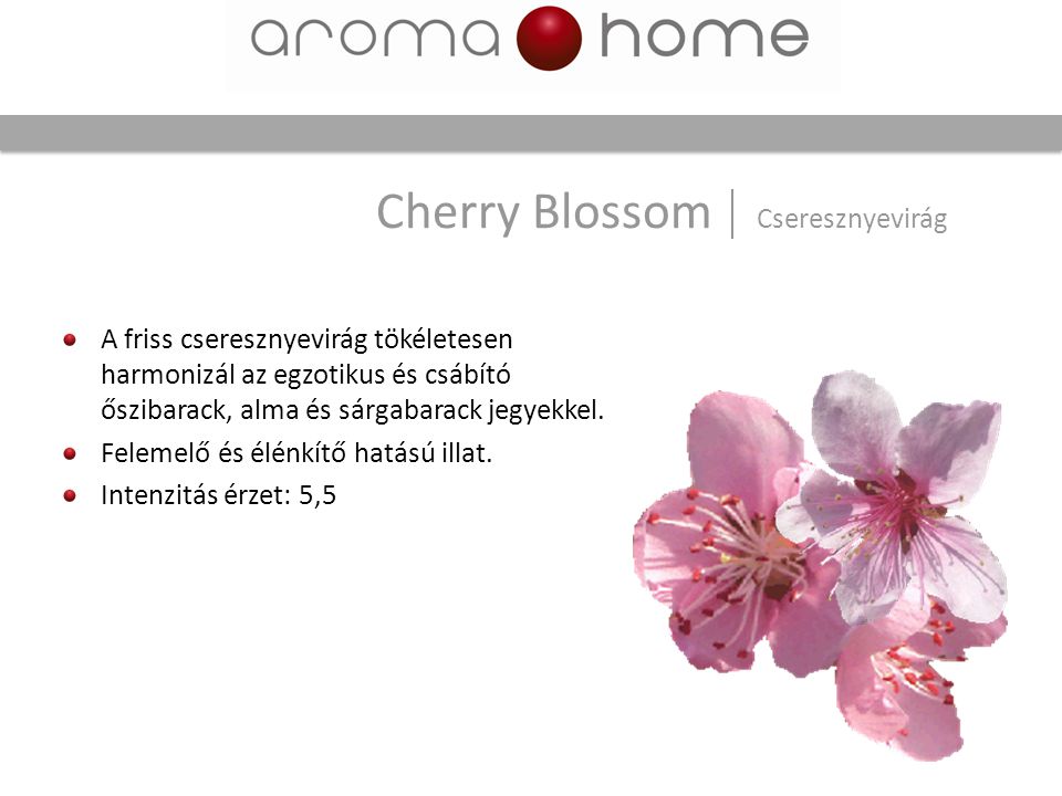 Cherry Blossom Cseresznyevirág
