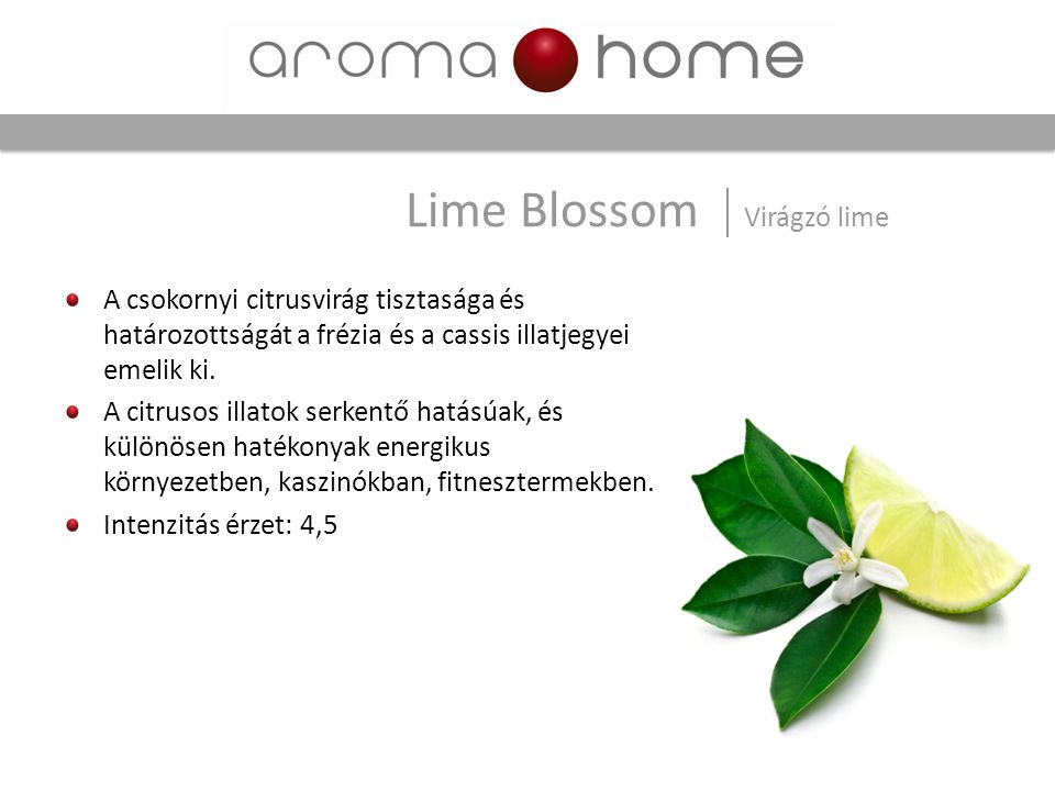 Lime Blossom Virágzó lime