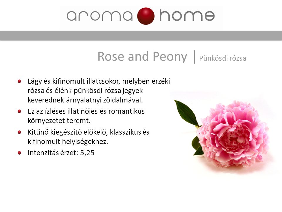 Rose and Peony Pünkösdi rózsa