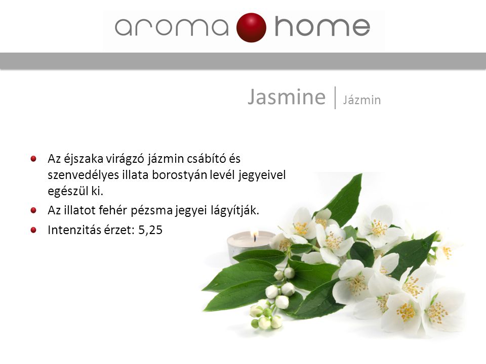 Jasmine Jázmin Az éjszaka virágzó jázmin csábító és szenvedélyes illata borostyán levél jegyeivel egészül ki.
