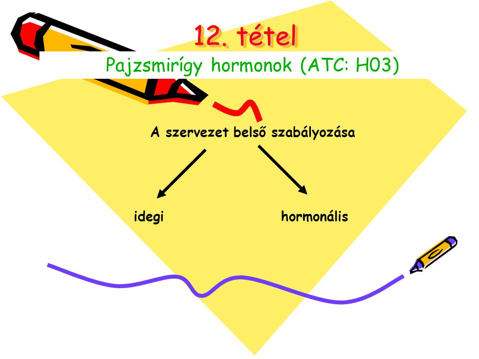 Pajzsmirígy hormonok (ATC: H03)
