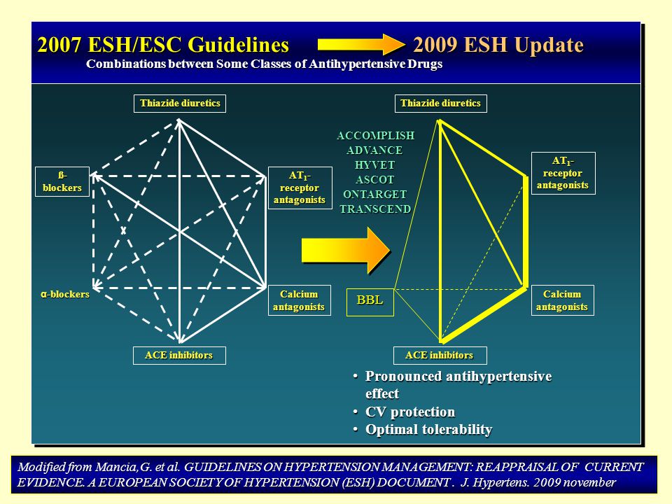 2007 ESH/ESC Guidelines 2009 ESH Update
