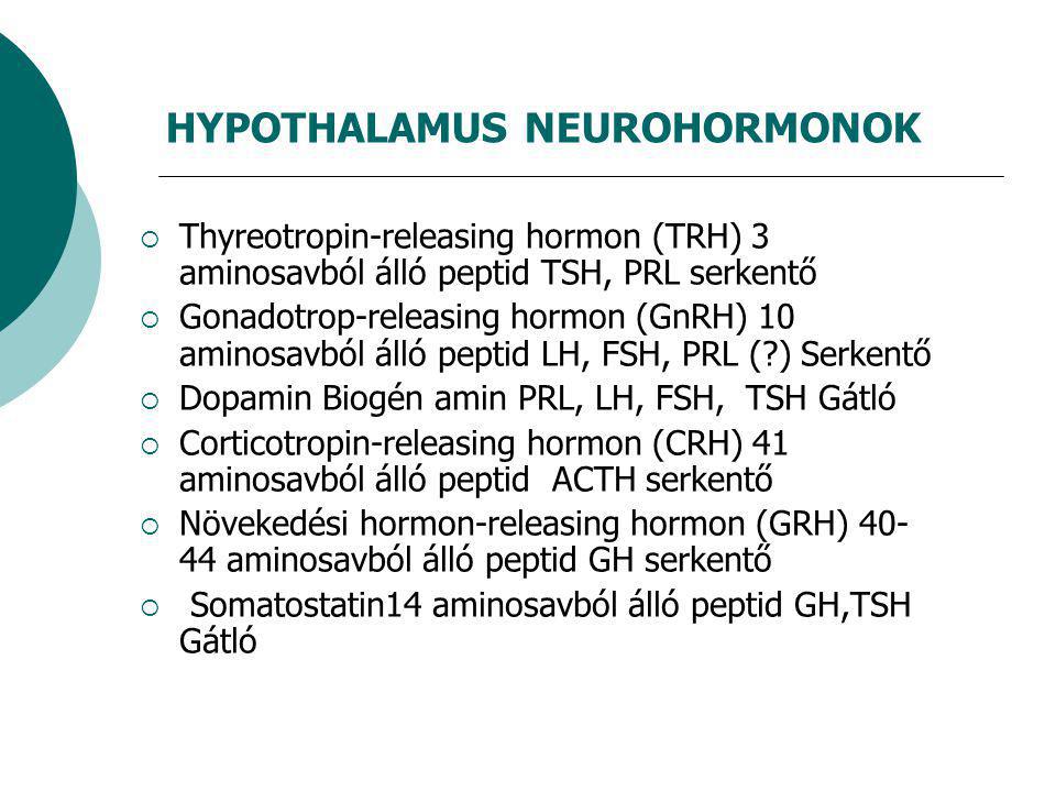 HYPOTHALAMUS NEUROHORMONOK