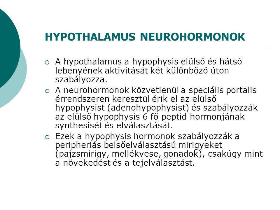 HYPOTHALAMUS NEUROHORMONOK