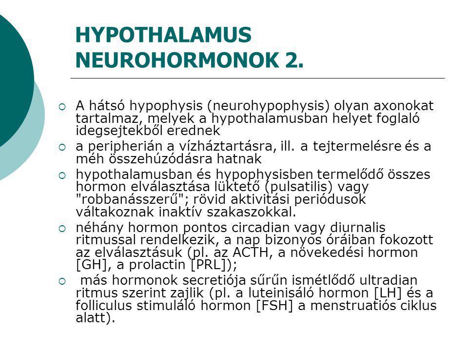 HYPOTHALAMUS NEUROHORMONOK 2.