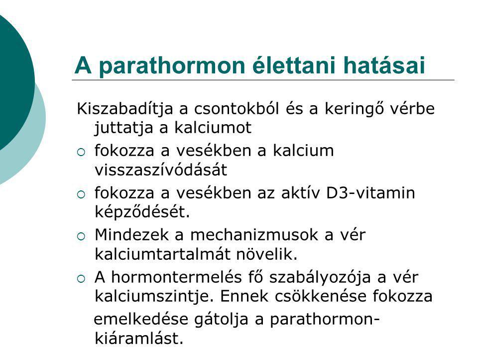 A parathormon élettani hatásai