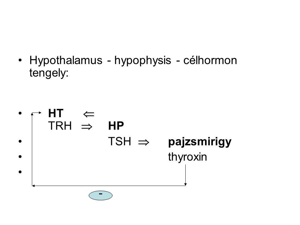 Hypothalamus - hypophysis - célhormon tengely: