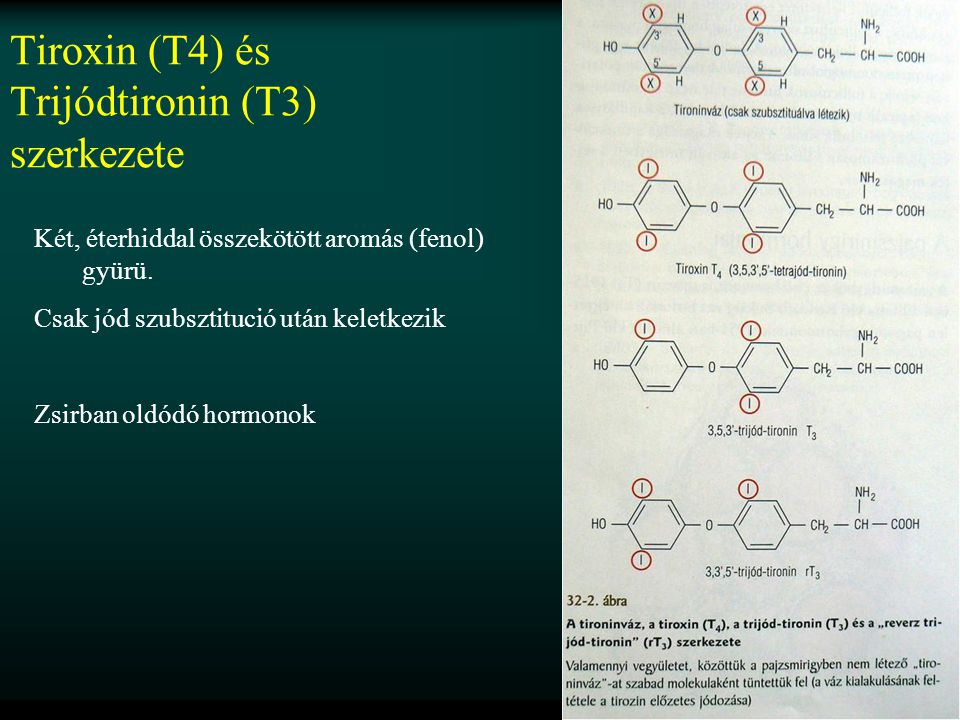 Tiroxin (T4) és Trijódtironin (T3) szerkezete