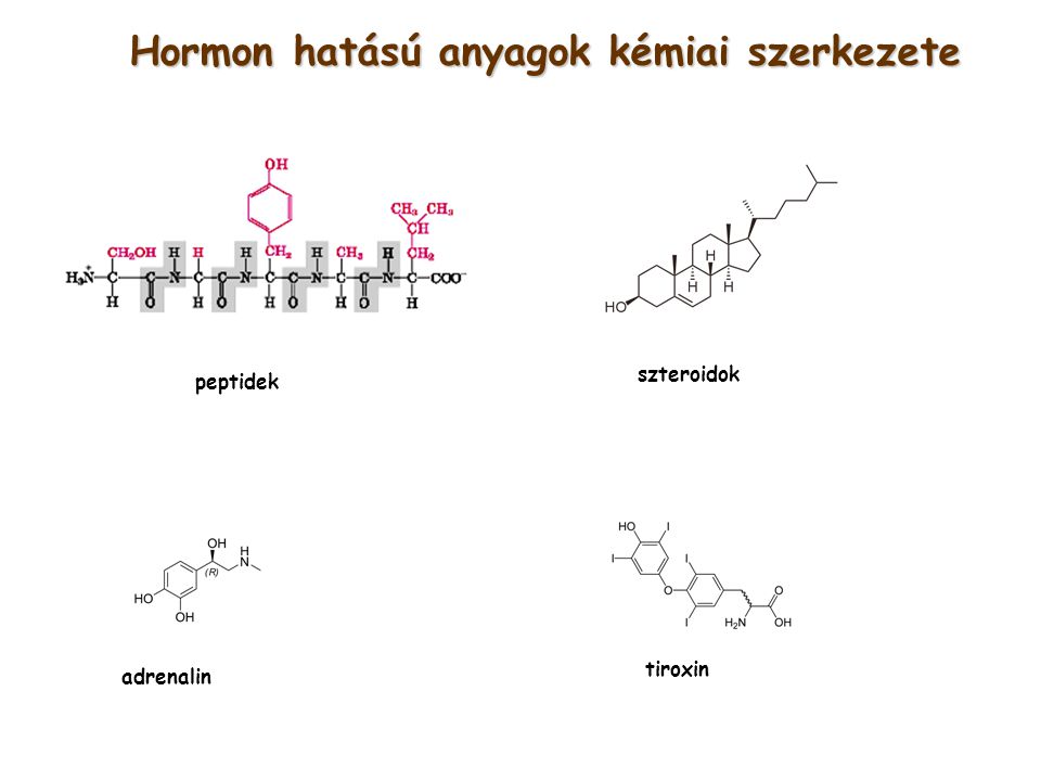 Hormon hatású anyagok kémiai szerkezete