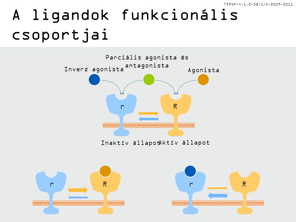 A ligandok funkcionális csoportjai