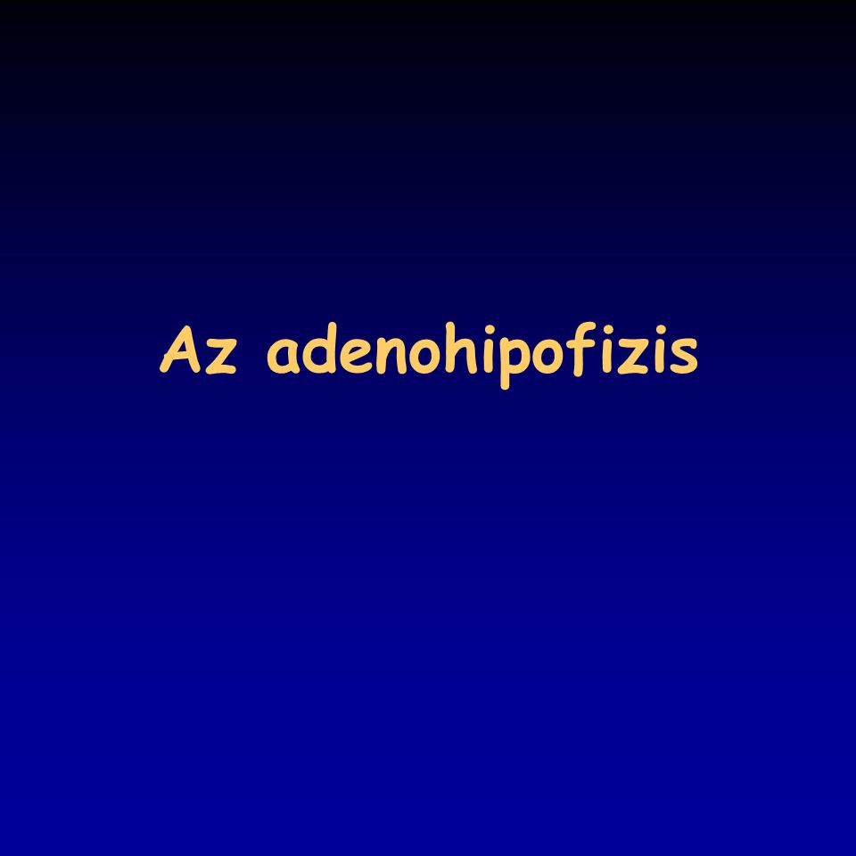 Az adenohipofizis