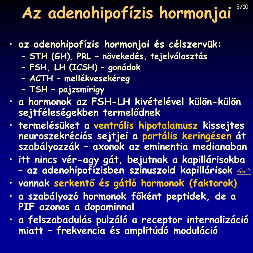 Az adenohipofízis hormonjai