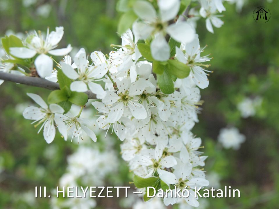 III. HELYEZETT – Dankó Katalin