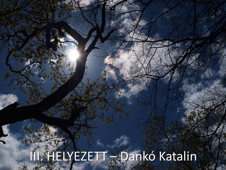 III. HELYEZETT – Dankó Katalin