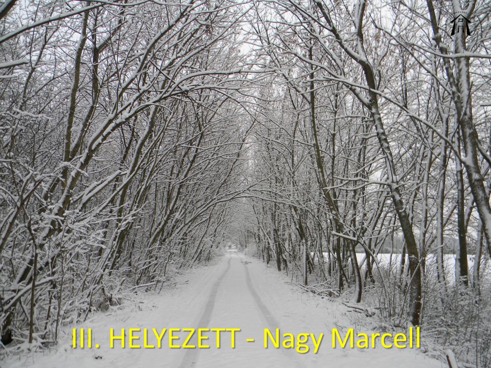 III. HELYEZETT - Nagy Marcell