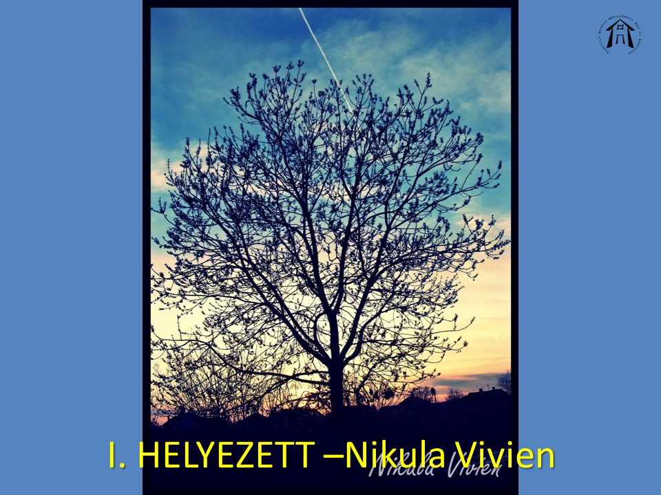 I. HELYEZETT –Nikula Vivien