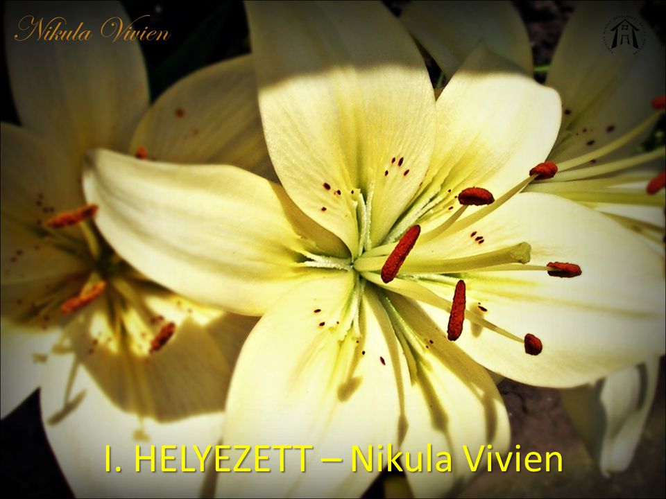 I. HELYEZETT – Nikula Vivien