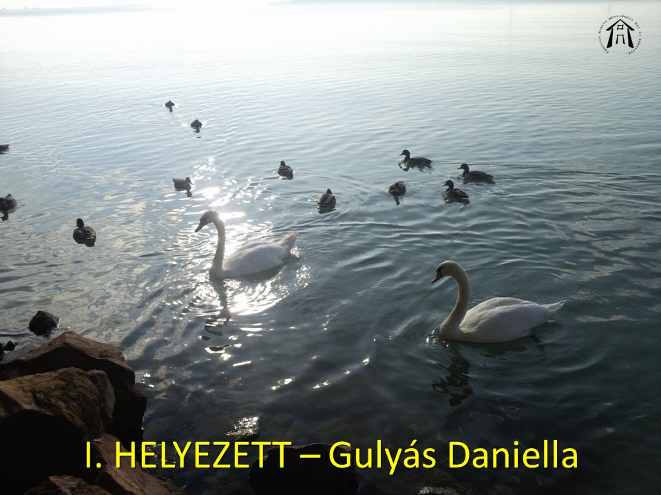 I. HELYEZETT – Gulyás Daniella