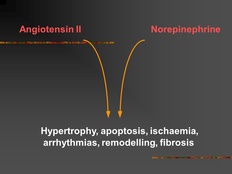 Angiotensin II Norepinephrine Hypertrophy, apoptosis, ischaemia, arrhythmias, remodelling, fibrosis
