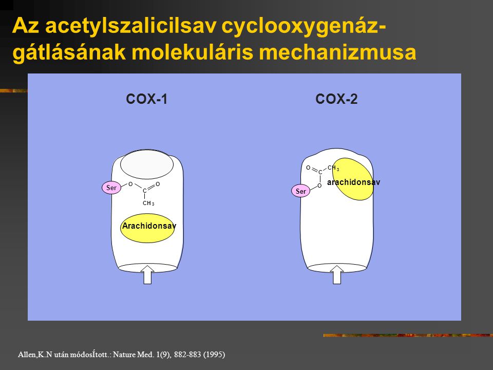 Az acetylszalicilsav cyclooxygenáz- gátlásának molekuláris mechanizmusa