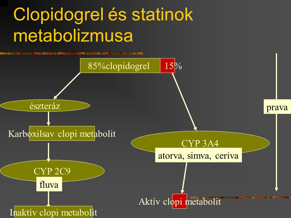 Clopidogrel és statinok metabolizmusa