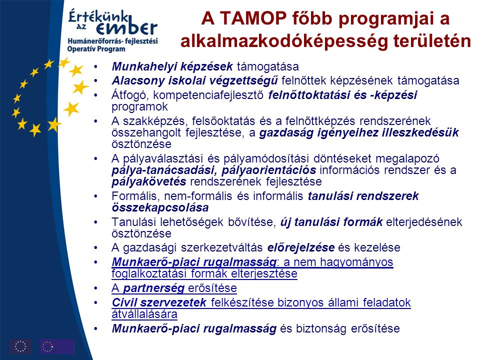 A TAMOP főbb programjai a alkalmazkodóképesség területén