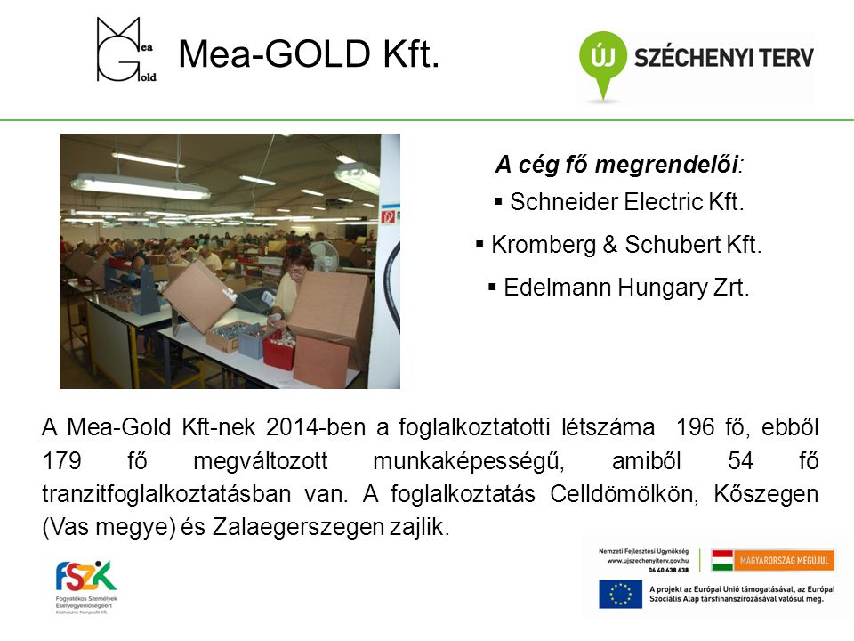 Mea-GOLD Kft. A cég fő megrendelői: Schneider Electric Kft.