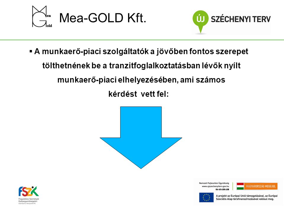 Mea-GOLD Kft.