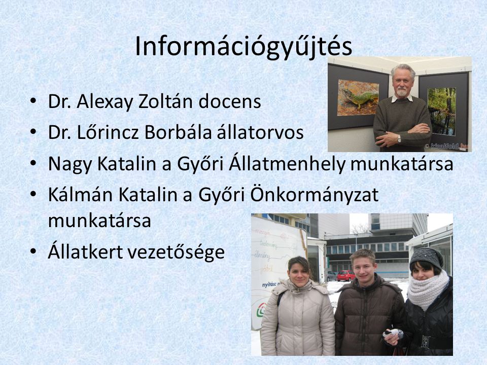 Információgyűjtés Dr. Alexay Zoltán docens