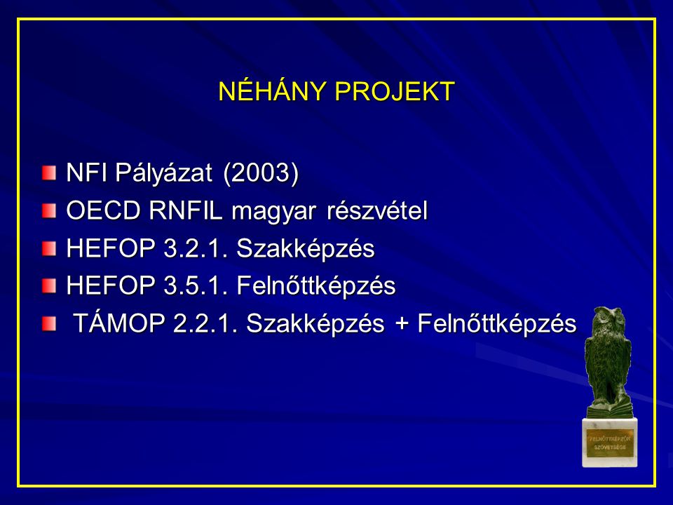 NÉHÁNY PROJEKT NFI Pályázat (2003) OECD RNFIL magyar részvétel. HEFOP Szakképzés. HEFOP Felnőttképzés.