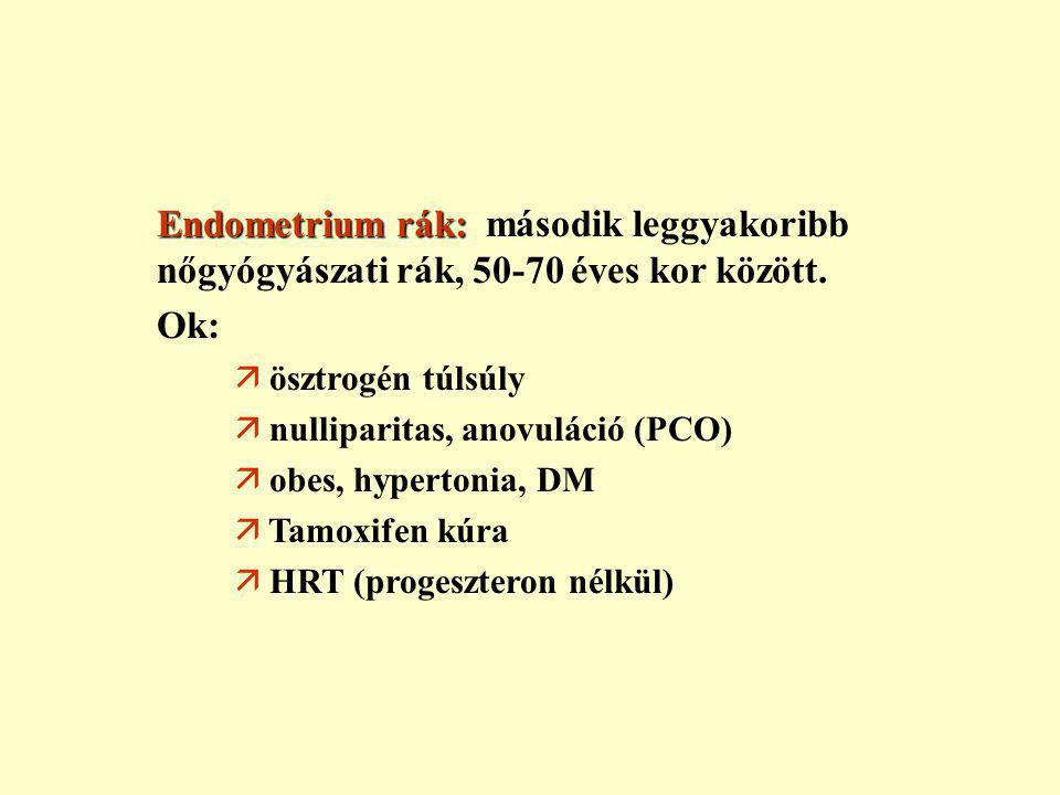 endometrium rák msi