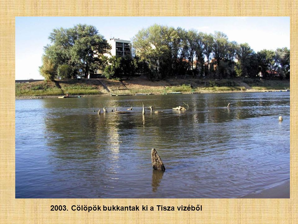 2003. Cölöpök bukkantak ki a Tisza vizéből