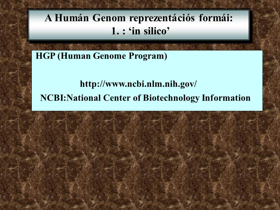 A Humán Genom reprezentációs formái: