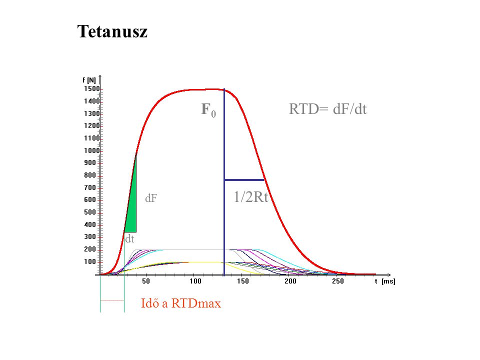 Tetanusz F0 RTD= dF/dt 1/2Rt dF dt Idő a RTDmax