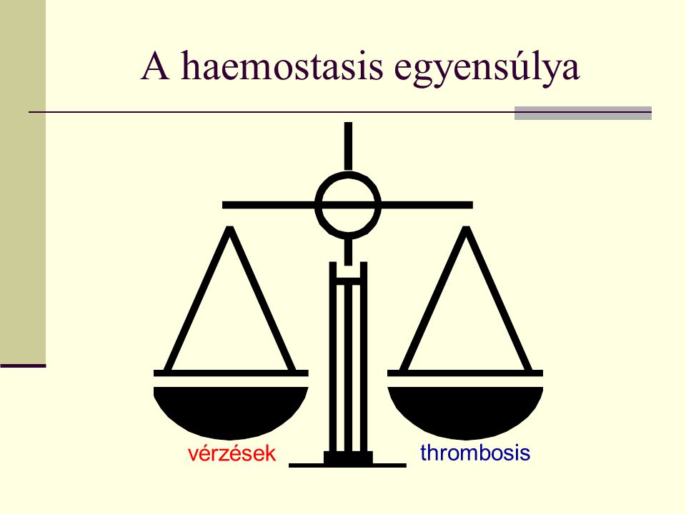 A haemostasis egyensúlya