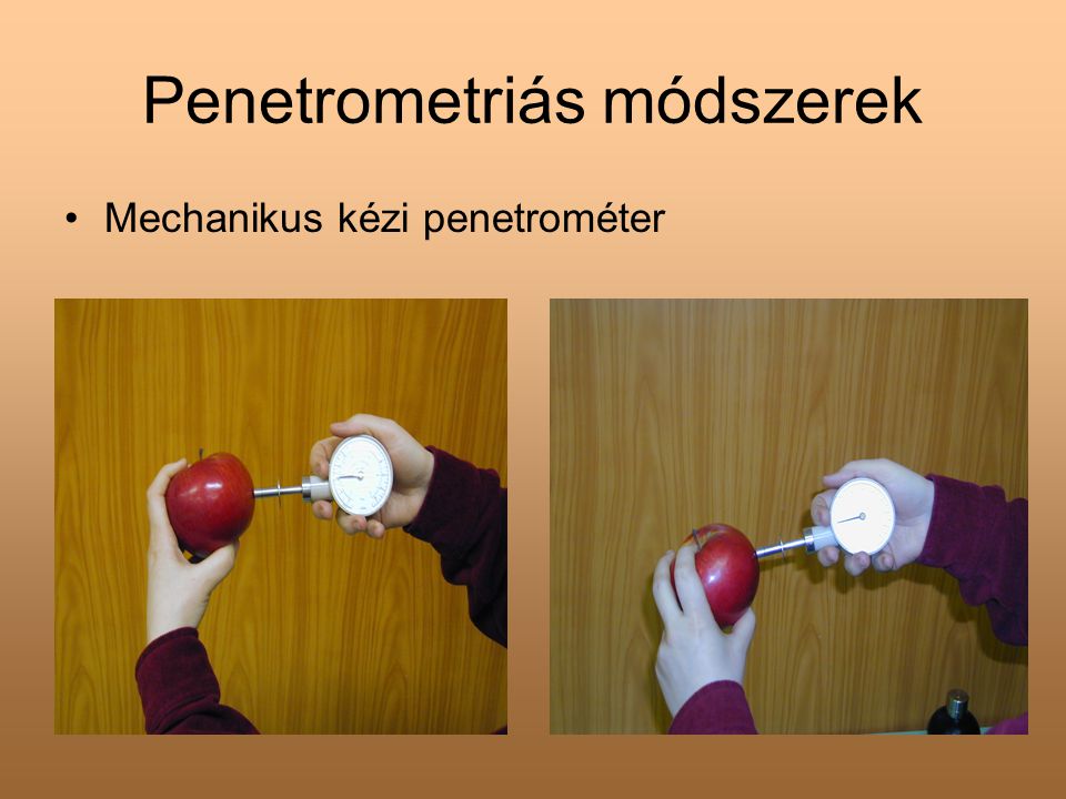 Penetrometriás módszerek
