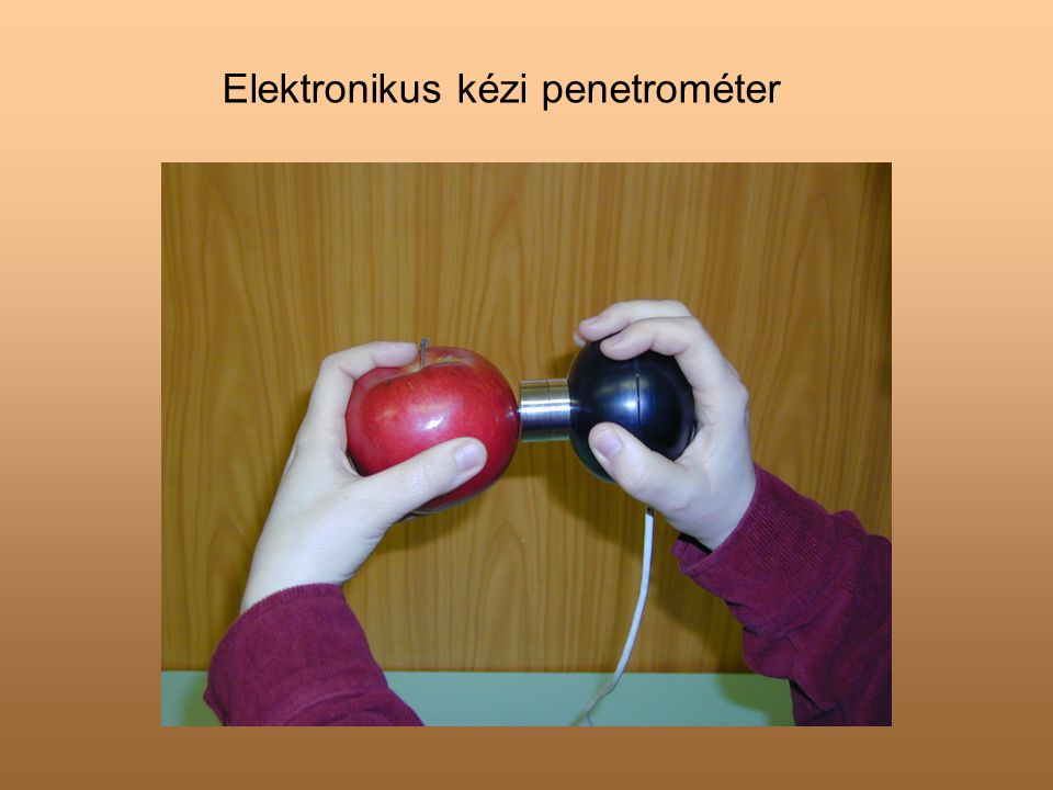 Elektronikus kézi penetrométer