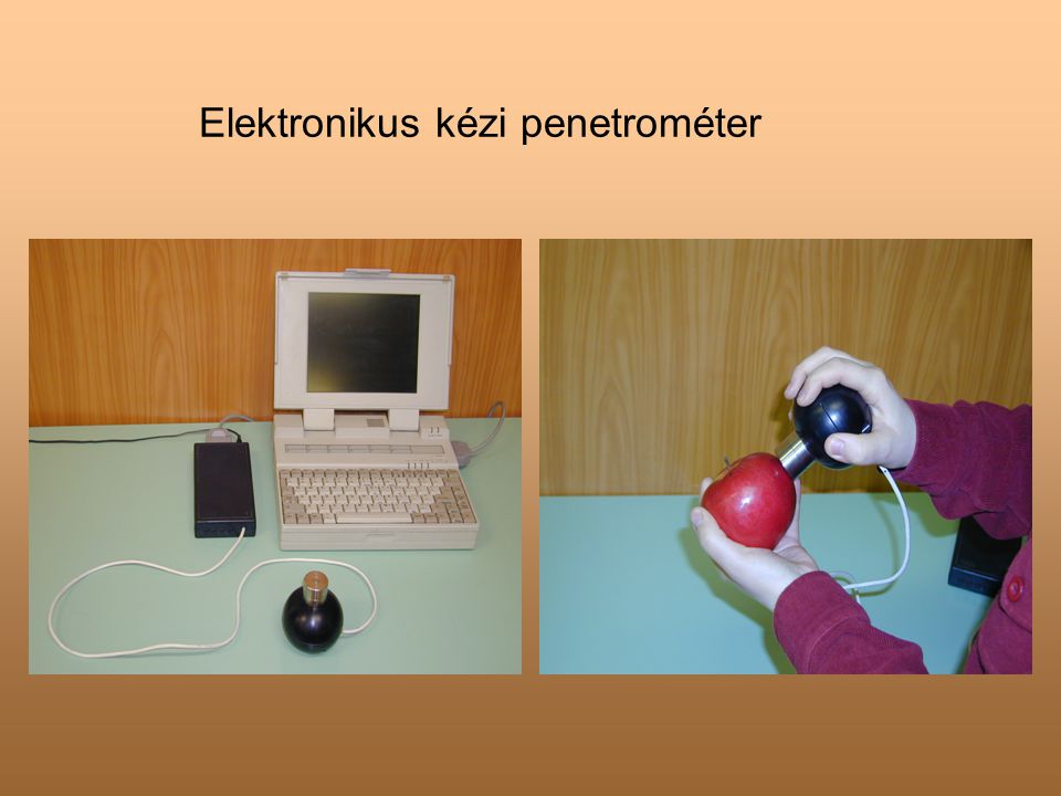 Elektronikus kézi penetrométer