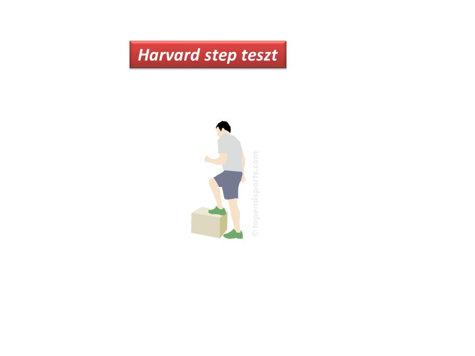 Harvard step teszt