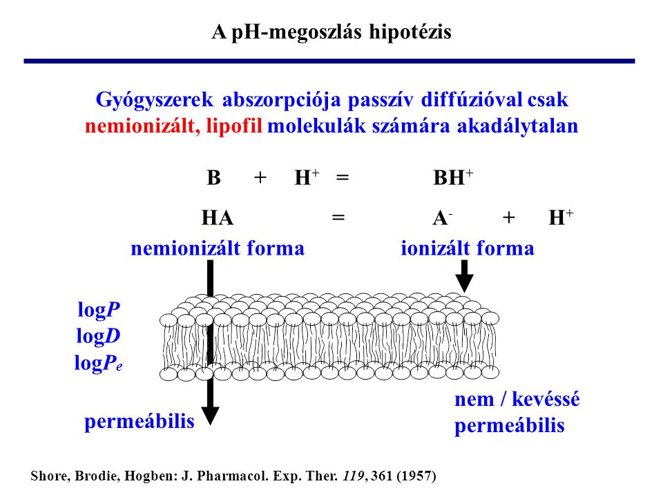 A pH-megoszlás hipotézis