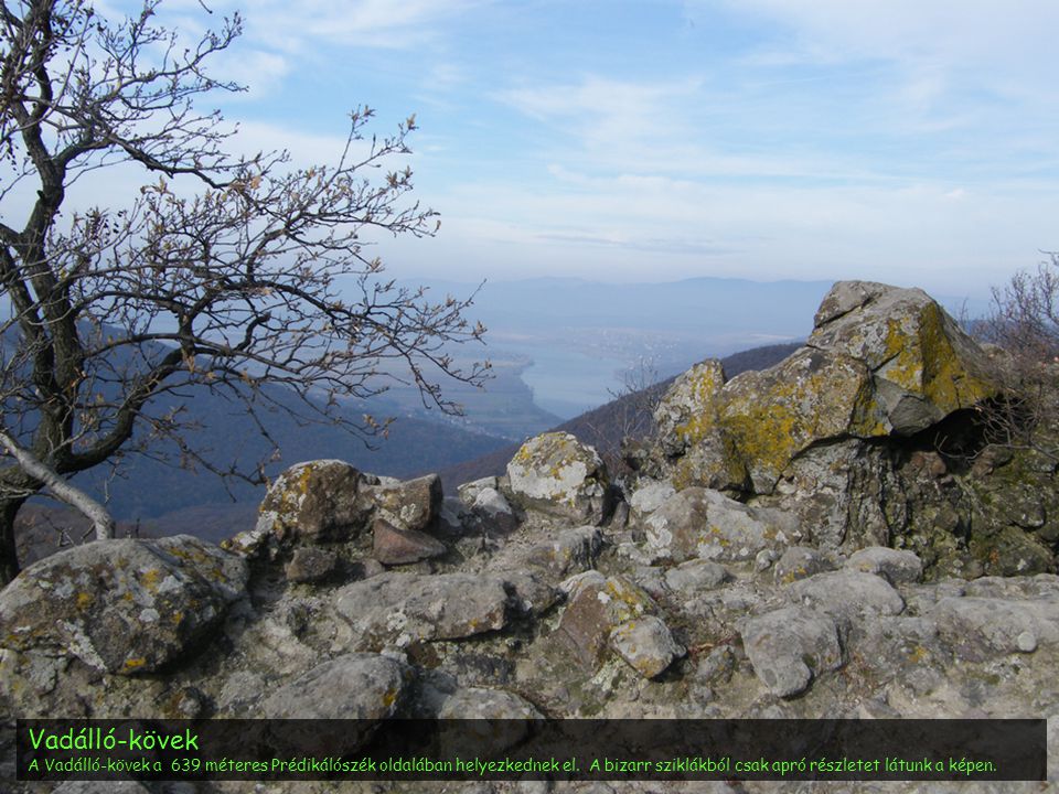 Vadálló-kövek A Vadálló-kövek a 639 méteres Prédikálószék oldalában helyezkednek el.