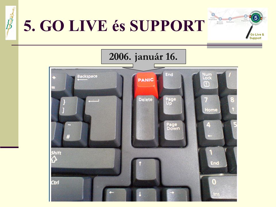 5. GO LIVE és SUPPORT január 16.