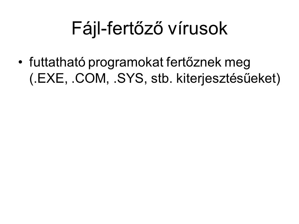Fájl-fertőző vírusok futtatható programokat fertőznek meg (.EXE, .COM, .SYS, stb.