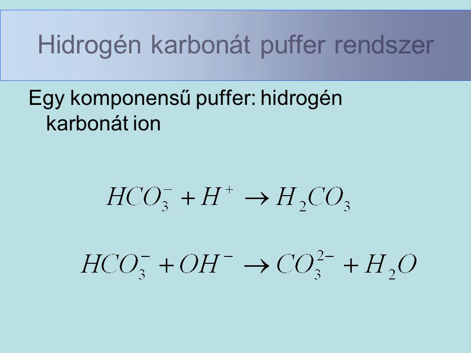 Hidrogén karbonát puffer rendszer