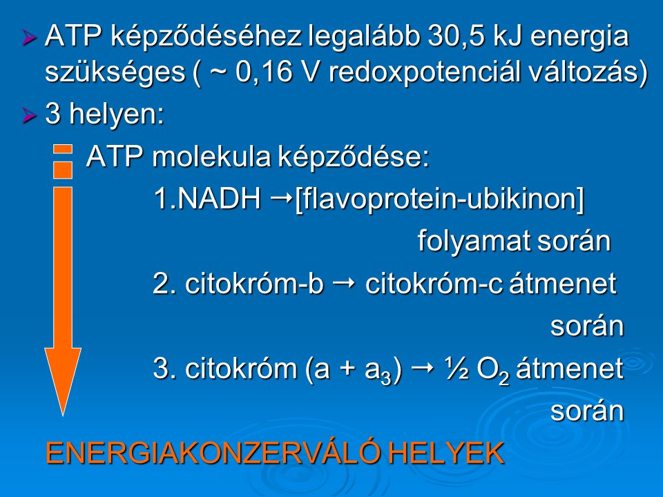 ATP képződéséhez legalább 30,5 kJ energia szükséges ( ~ 0,16 V redoxpotenciál változás)