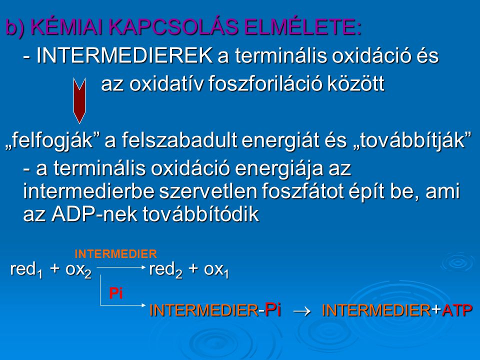 b) KÉMIAI KAPCSOLÁS ELMÉLETE: - INTERMEDIEREK a terminális oxidáció és
