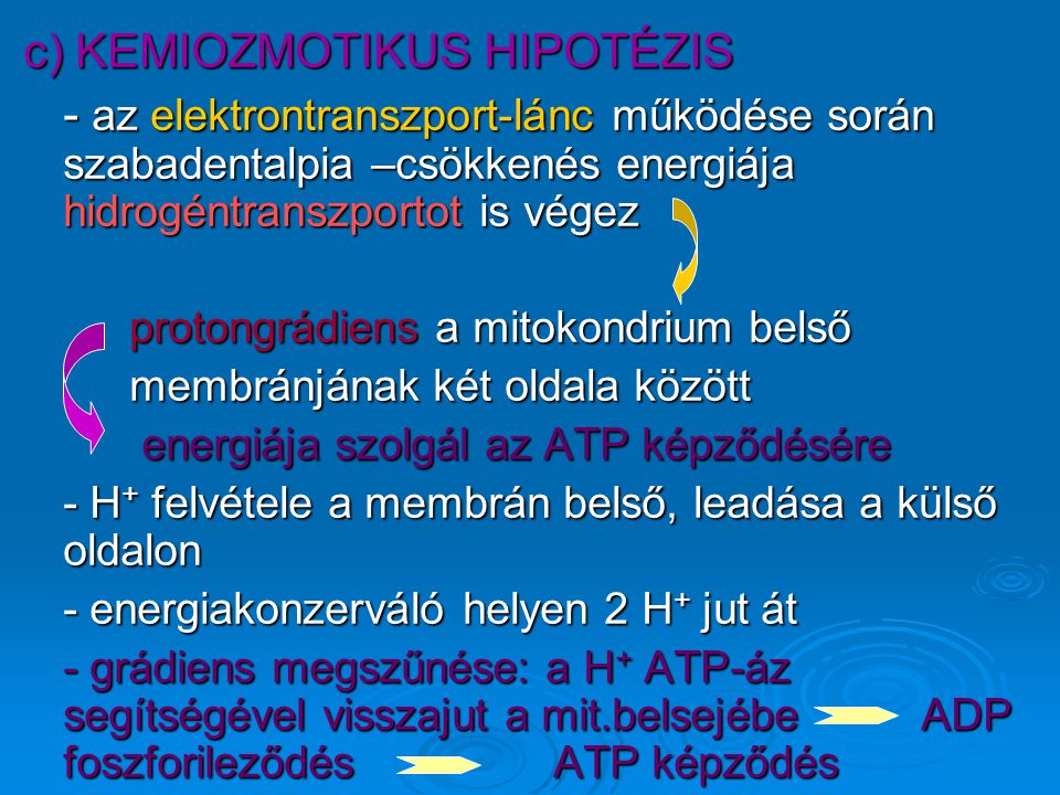 c) KEMIOZMOTIKUS HIPOTÉZIS