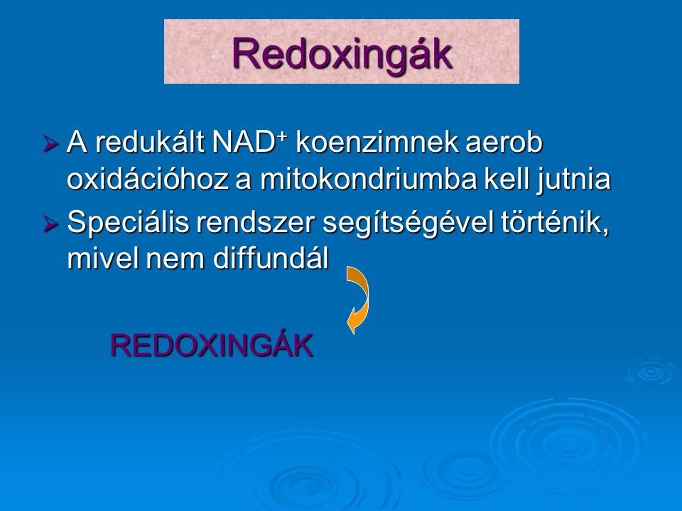 Redoxingák A redukált NAD+ koenzimnek aerob oxidációhoz a mitokondriumba kell jutnia. Speciális rendszer segítségével történik, mivel nem diffundál.