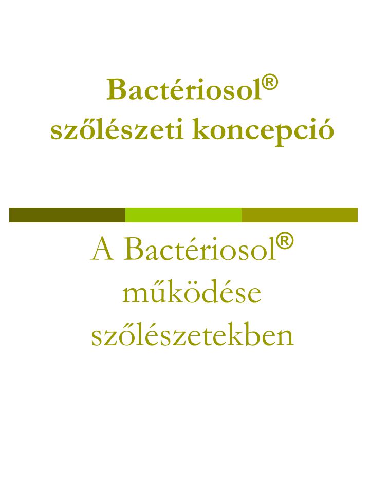 Bactériosol® szőlészeti koncepció A Bactériosol® működése szőlészetekben