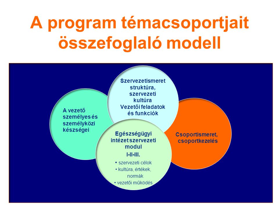 A program témacsoportjait összefoglaló modell